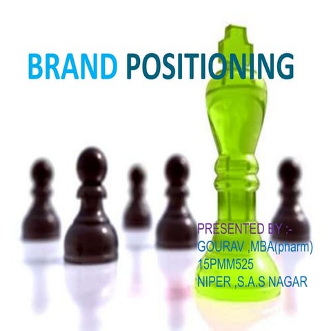 13 GouravDholwal Brand Positioning