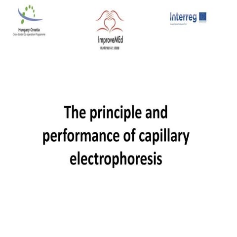 The principle and performance of capillary electrophoresis