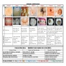 395406330-Codigo-ICDAS.pdf