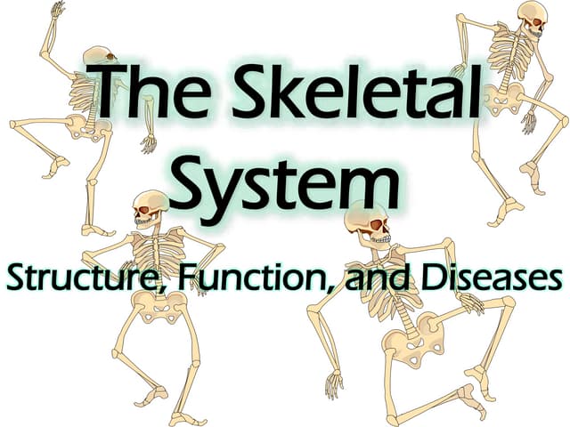 4. skeletal system