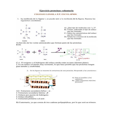 ejercicios voluntario proteinas