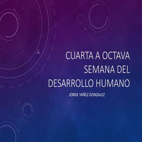 4 a 8 semana del desarrollo