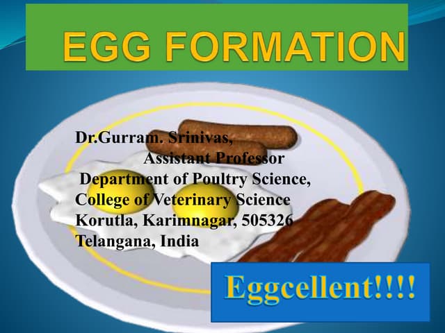Female Reproductive system of Fowl, Egg formation and Egg structure