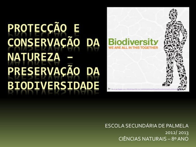 Preservação da Biodiversidade