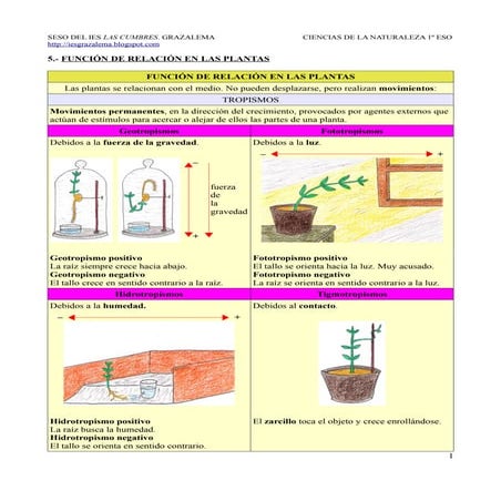 5.- Función de relación en las plantas
