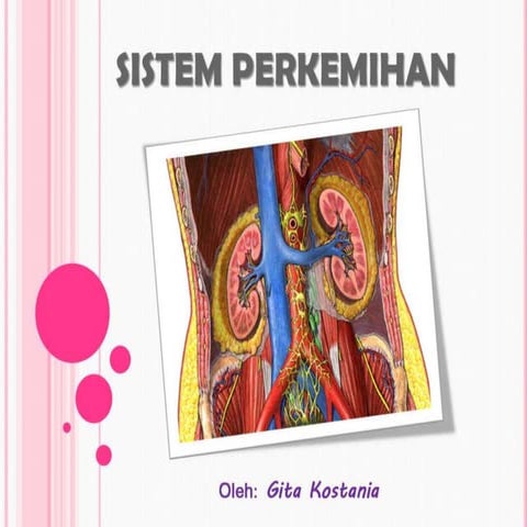 Sistem Urinaria (Sistem Perkemihan)