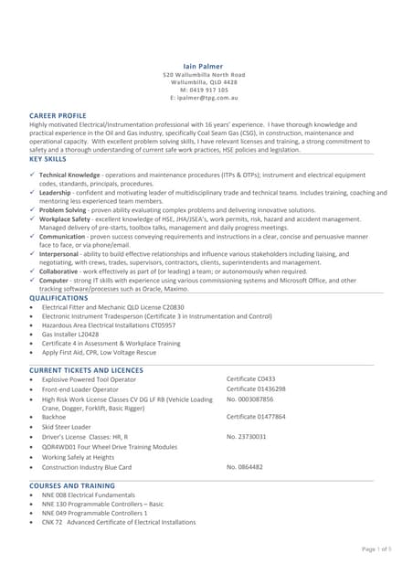 Iain Palmer Resume 29012015
