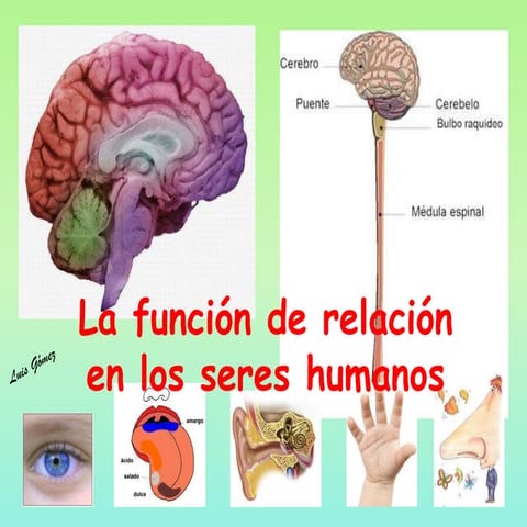 5º CM-05 la funcion de relación