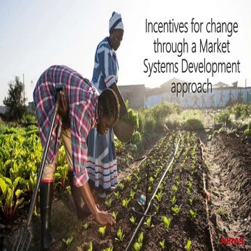 Creating incentives through a Market Systems Development approach