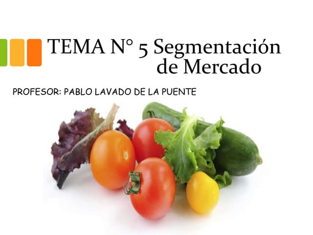 5 tema n° 5 segmentación