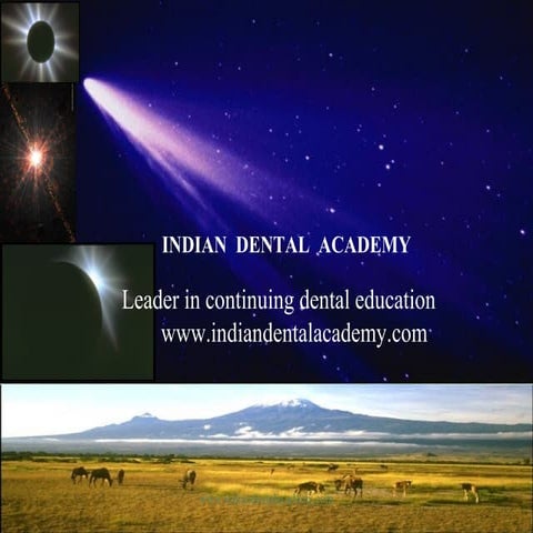 dental investments  / academy of fixed orthodontics