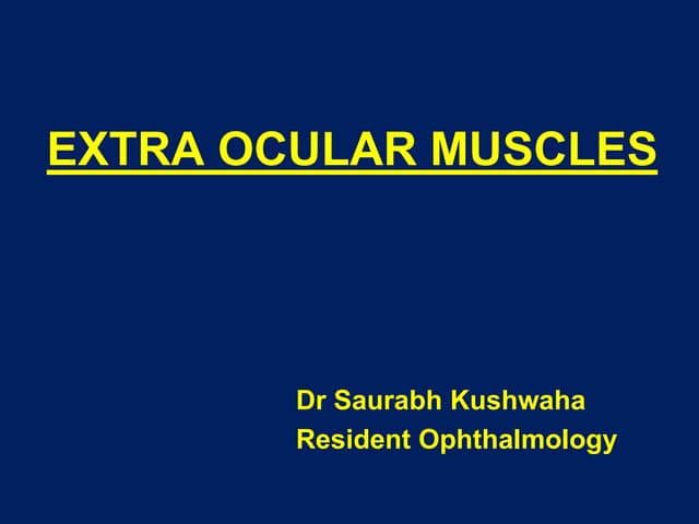 Extra ocular muscles