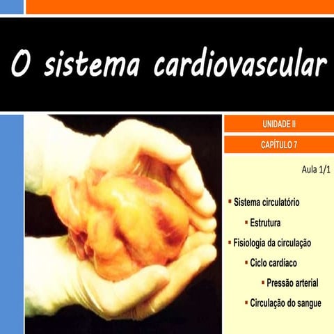 7   sistema cardiovascular