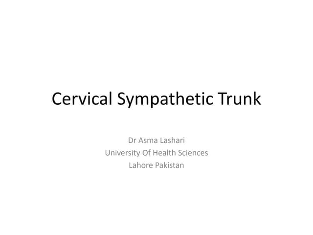 Cervical Sympathetic Trunk