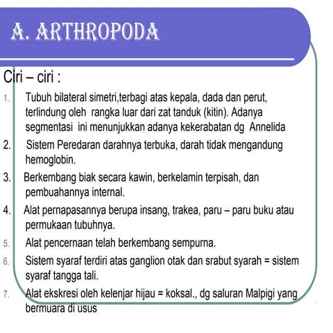 8. arthropoda