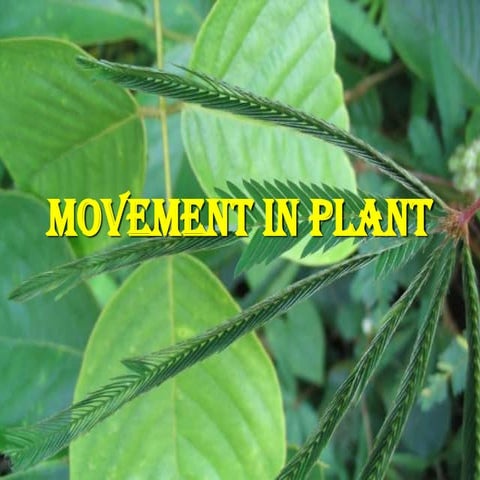 8 8. movement in plant