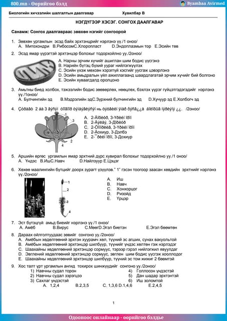 800.mn - 2013 Биологи ЭЕШ хувилбар Б by byambaa avirmed