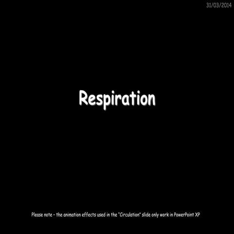 8 b respiration (whs)