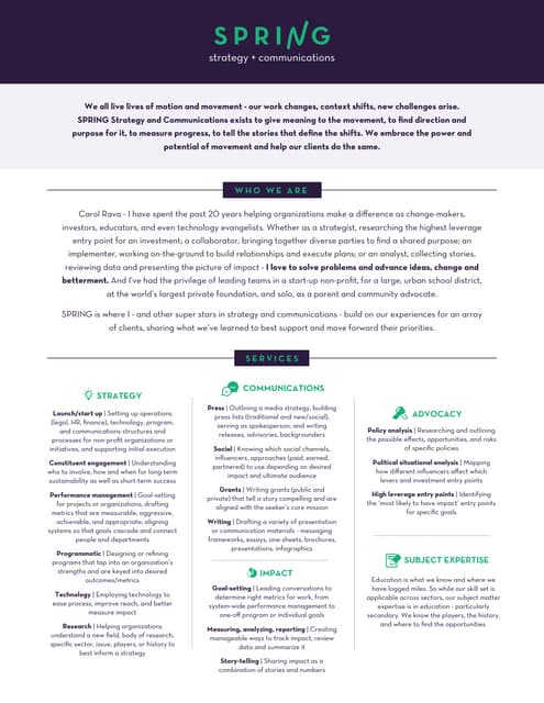 springstrategy_onepager_11.16.15