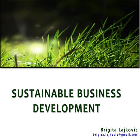 Sustainabile Business for a more Sustainable Future1