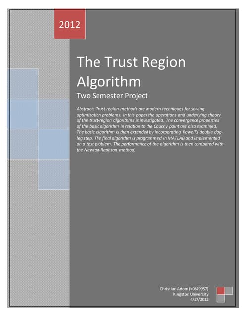 Trust Region Algorithm - Bachelor Dissertation
