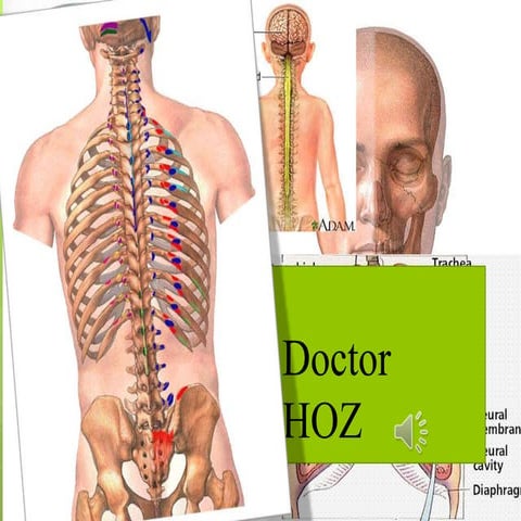 The Effect of Smoking