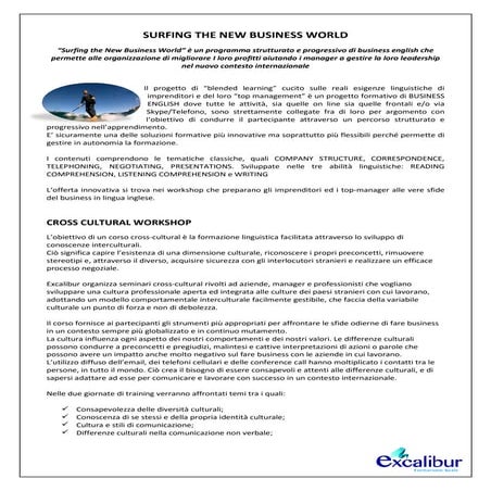 Surfing the New Business World