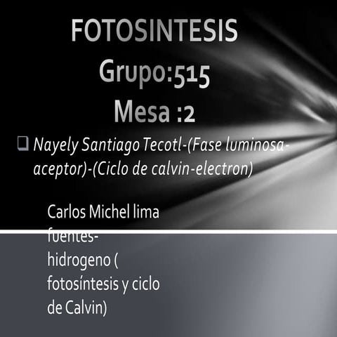 fase luminosa y ciclo de calvin