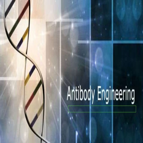 ANTIBODY ENGINEEERING  ITS APPLICATIONS 