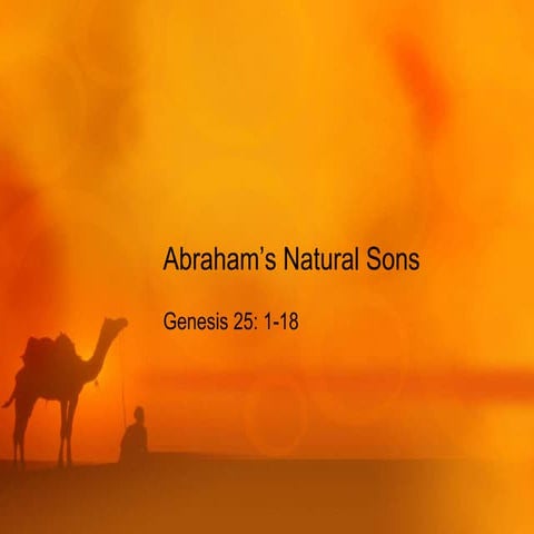 Abraham’s Many Sons Genesis 25