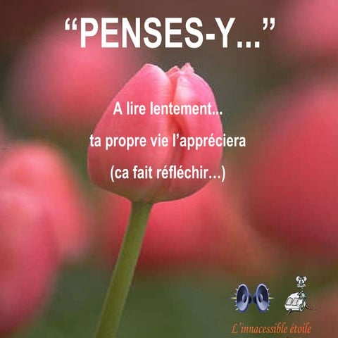 Absolument vital mcf