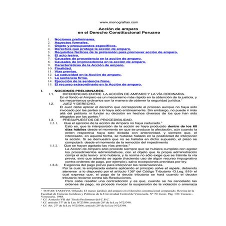 Accion de-amparo