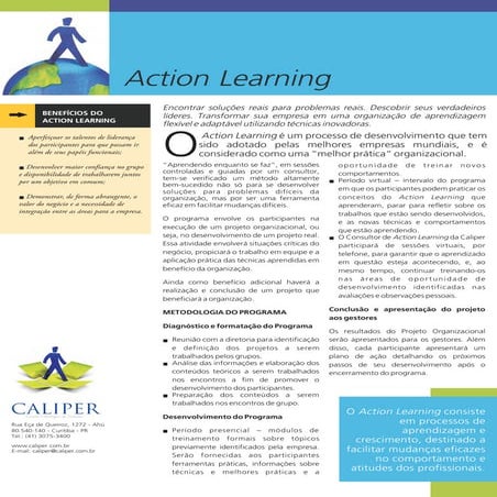 Action Learning