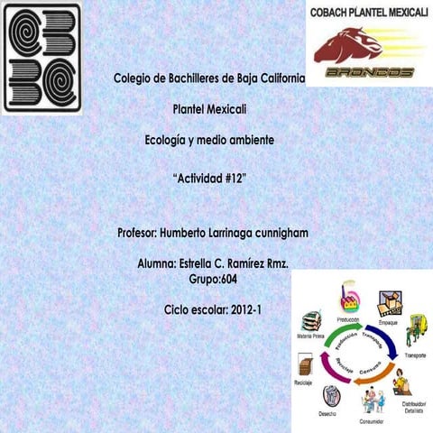 Actividad12