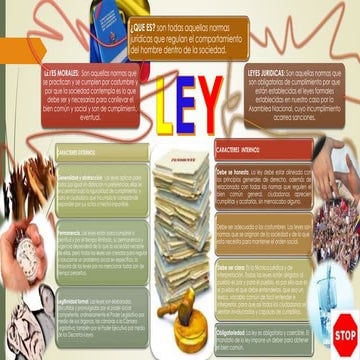 LEY, LEYES FORMALES, LEYES ORGANICAS