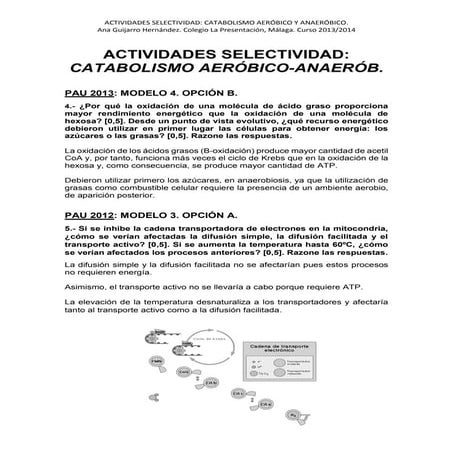Actividades SELECTIVIDAD - Catabolismo aeróbico y anaeróbico; Ana Guijarro He...