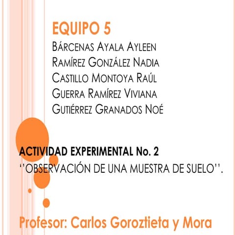 ACTIVIDAD EXPERIMENTAL No. 2 ‘’OBSERVACIÓN DE UNA MUESTRA DE SUELO’’.