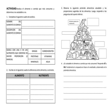 Actividad nutrientes en los alimentos