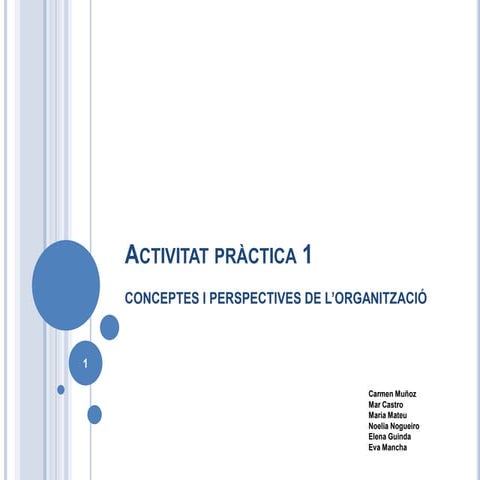 Activitat pràctica 1  elena guinda