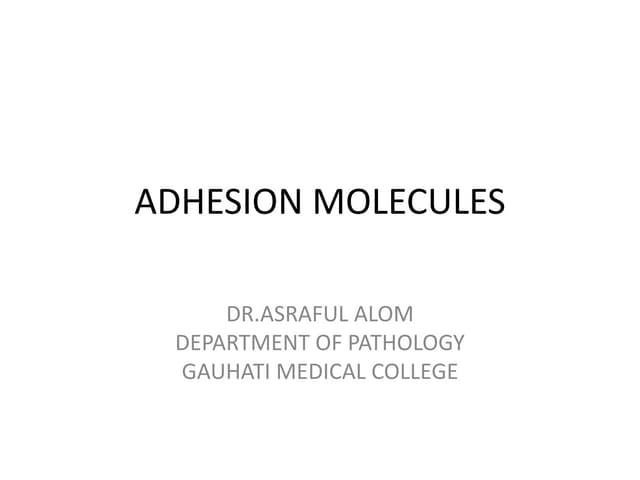 Adhesion molecules