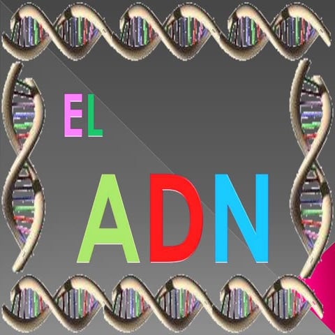 ADN