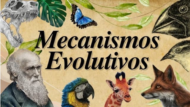 MECANISMOS DE LA EVOLUCIÓN: EL COMO SE DESARROLLA LA VIDA