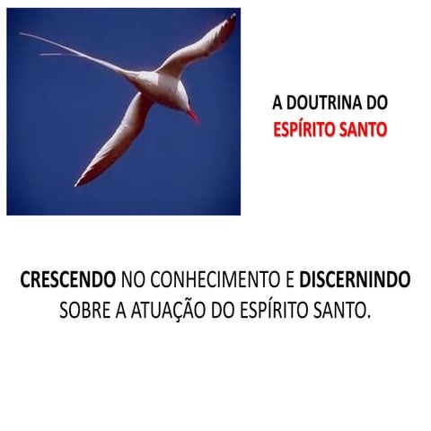 A Doutrina Do EspíRito Santo 1° Aula