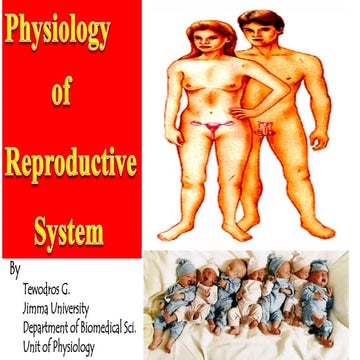 Advanced  Reproductive Physiology