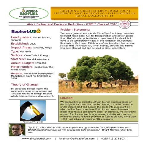Africa biofuel   gsbi 2010
