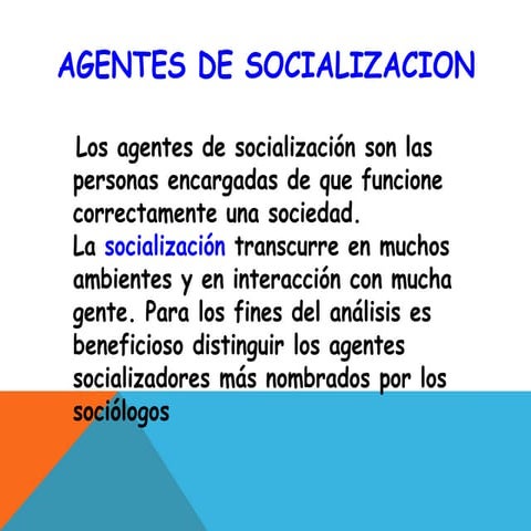 Agentes de socializacion