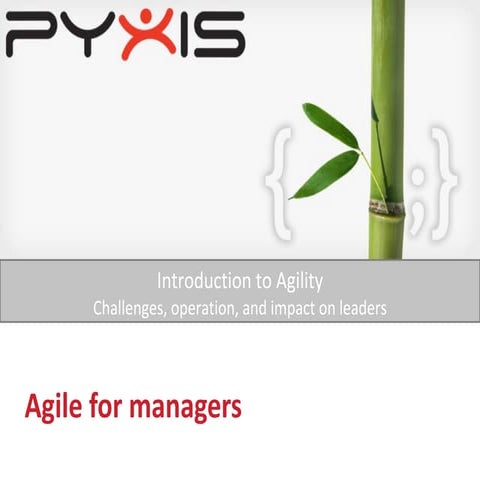 Agile for managers