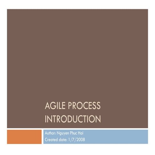 Agile Process Introduction