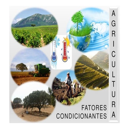 Agricultura: fatores condicionantes