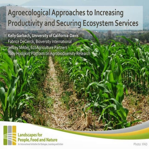 Agroecological Approaches to Increasing Productivity and Securing Ecosystem S...